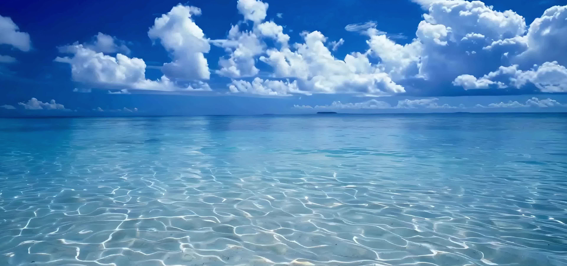 碧海丹心